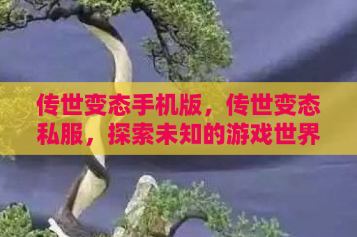 传世变态手机版，传世变态私服，探索未知的游戏世界