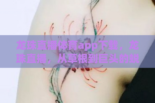 龙珠直播体育app下载，龙珠直播，从草根到巨头的蜕变之路