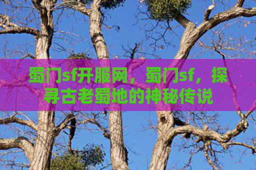 蜀门sf开服网，蜀门sf，探寻古老蜀地的神秘传说