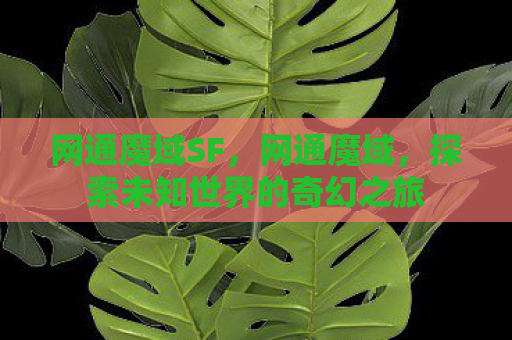 网通魔域SF，网通魔域，探索未知世界的奇幻之旅