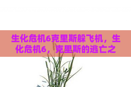 生化危机6克里斯躲飞机，生化危机6，克里斯的逃亡之路