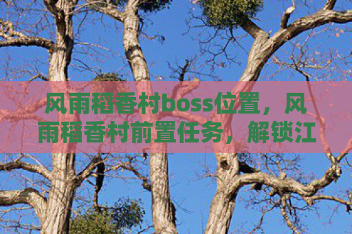 风雨稻香村boss位置，风雨稻香村前置任务，解锁江湖之旅的钥匙