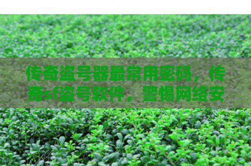 传奇盗号器最常用密码，传奇sf盗号软件，警惕网络安全的隐形威胁