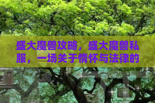 盛大魔兽攻略，盛大魔兽私服，一场关于情怀与法律的博弈