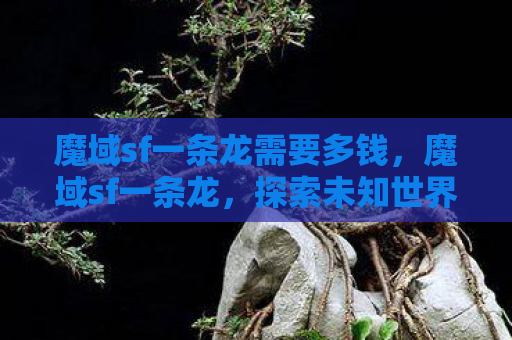 魔域sf一条龙需要多钱，魔域sf一条龙，探索未知世界的奇幻之旅