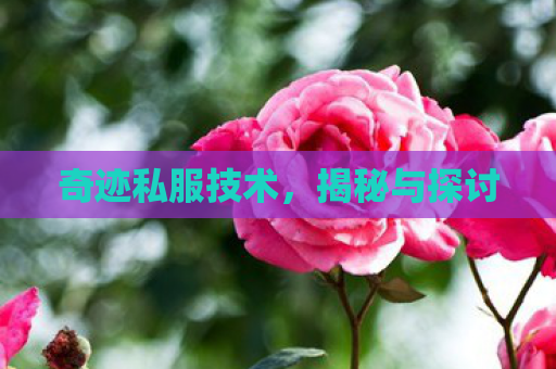 奇迹私服技术，揭秘与探讨
