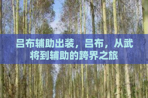 吕布辅助出装，吕布，从武将到辅助的跨界之旅