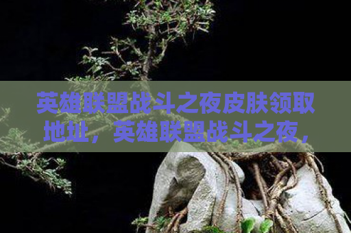 英雄联盟战斗之夜皮肤领取地址，英雄联盟战斗之夜，解锁你的专属皮肤