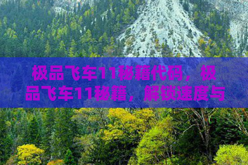 极品飞车11秘籍代码，极品飞车11秘籍，解锁速度与激情的终极攻略
