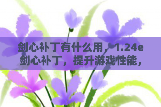 剑心补丁有什么用，1.24e剑心补丁，提升游戏性能，优化玩家体验