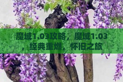 魔域1.03攻略，魔域1.03，经典重燃，怀旧之旅