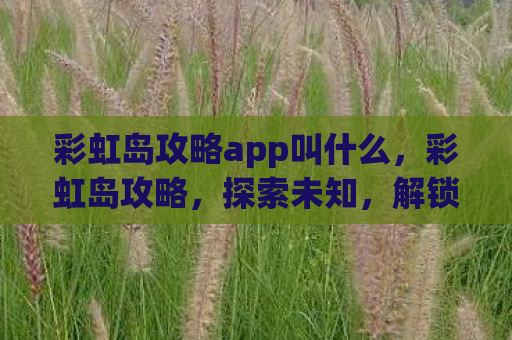 彩虹岛攻略app叫什么，彩虹岛攻略，探索未知，解锁隐藏宝藏
