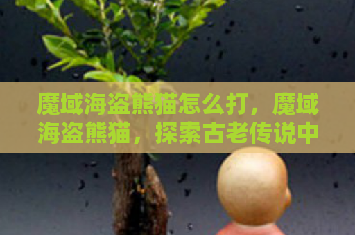 魔域海盗熊猫怎么打，魔域海盗熊猫，探索古老传说中的神秘生物