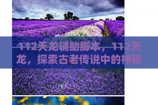 112天龙辅助脚本，112天龙，探索古老传说中的神秘生物