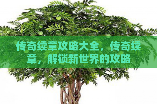 传奇续章攻略大全，传奇续章，解锁新世界的攻略