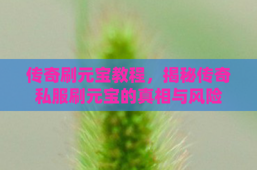 传奇刷元宝教程，揭秘传奇私服刷元宝的真相与风险