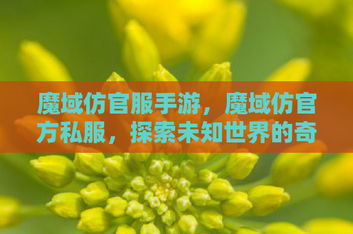 魔域仿官服手游，魔域仿官方私服，探索未知世界的奇妙之旅