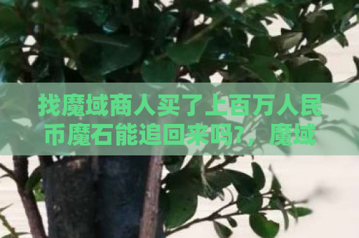 找魔域商人买了上百万人民币魔石能追回来吗?，魔域SF，探索未知世界的奇幻之旅
