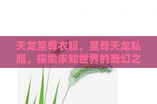 天龙至尊衣服，至尊天龙私服，探索未知世界的奇幻之旅