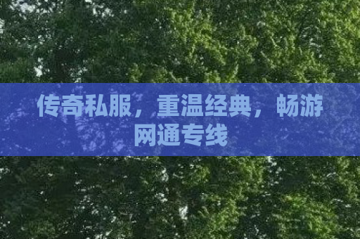 传奇私服，重温经典，畅游网通专线