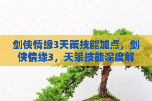 剑侠情缘3天策技能加点，剑侠情缘3，天策技能深度解析