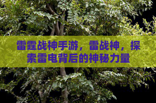 雷霆战神手游，雷战神，探索雷电背后的神秘力量