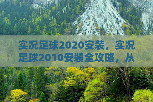 实况足球2020安装，实况足球2010安装全攻略，从下载到运行，一步不落！