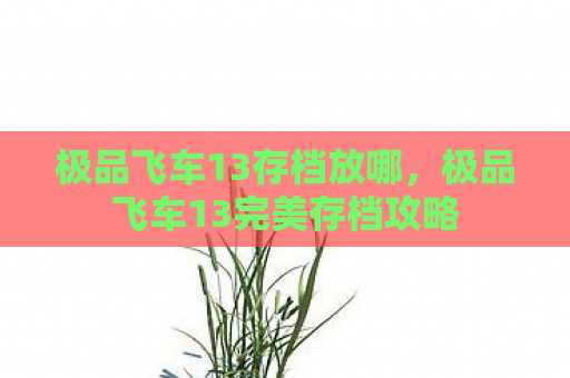 极品飞车13存档放哪，极品飞车13完美存档攻略