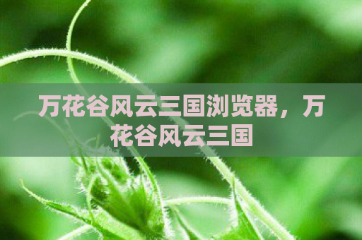 万花谷风云三国浏览器，万花谷风云三国