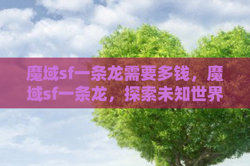 魔域sf一条龙需要多钱，魔域sf一条龙，探索未知世界的奇幻之旅