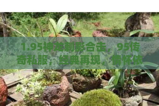 1.95神龙刺影合击，95传奇私服，经典再现，情怀依旧
