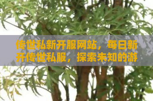 传世私新开服网站，每日新开传世私服，探索未知的游戏世界