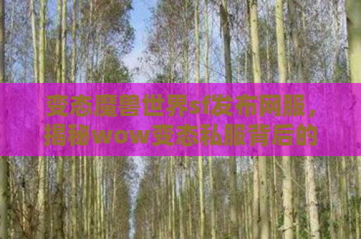 变态魔兽世界sf发布网服，揭秘wow变态私服背后的灰色产业链
