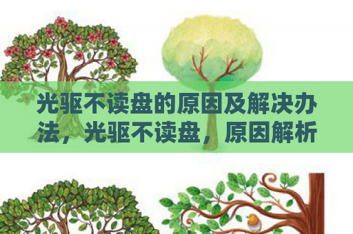 光驱不读盘的原因及解决办法，光驱不读盘，原因解析与解决策略