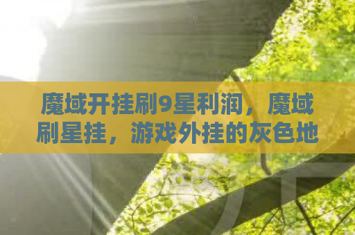 魔域开挂刷9星利润，魔域刷星挂，游戏外挂的灰色地带与风险警示