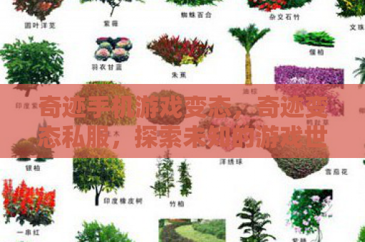 奇迹手机游戏变态，奇迹变态私服，探索未知的游戏世界