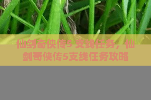 仙剑奇侠传5 支线任务，仙剑奇侠传5支线任务攻略