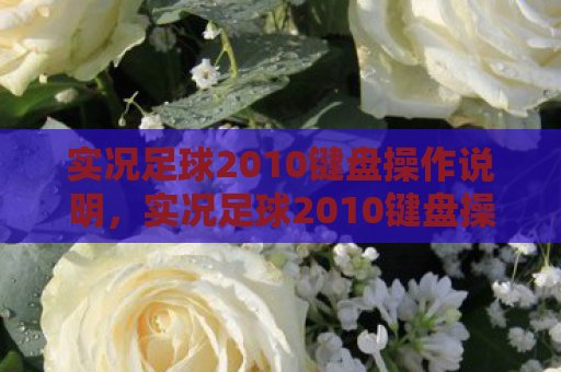 实况足球2010键盘操作说明，实况足球2010键盘操作指南，掌握技巧，成为球场王者