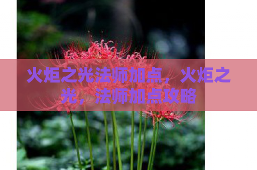 火炬之光法师加点，火炬之光，法师加点攻略