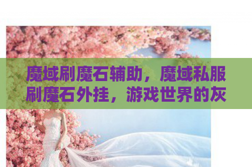 魔域刷魔石辅助，魔域私服刷魔石外挂，游戏世界的灰色阴影