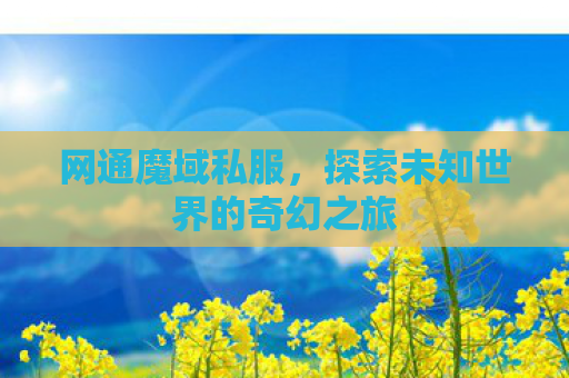 网通魔域私服，探索未知世界的奇幻之旅
