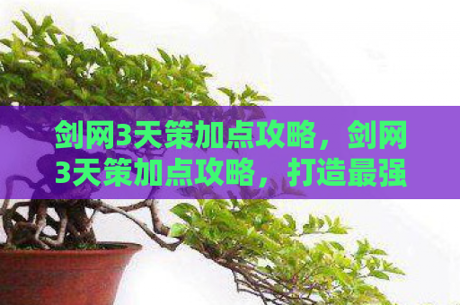 剑网3天策加点攻略，剑网3天策加点攻略，打造最强天策战士