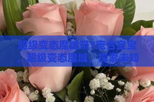 超级变态魔域带7宠合宝宝，超级变态魔域，探索未知世界的奇幻之旅