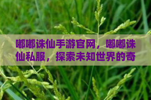 嘟嘟诛仙手游官网，嘟嘟诛仙私服，探索未知世界的奇幻之旅