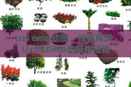 uzi omg动图，传奇再现，Uzi与OMG的荣耀征程