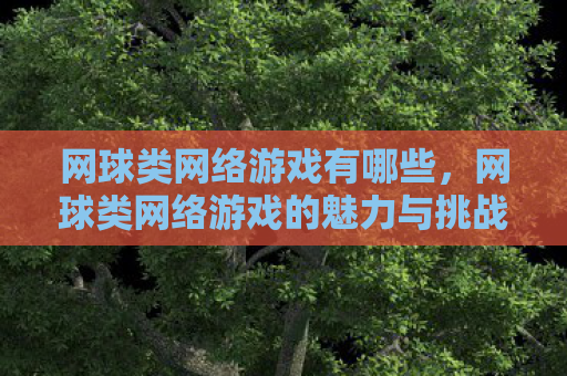 网球类网络游戏有哪些，网球类网络游戏的魅力与挑战