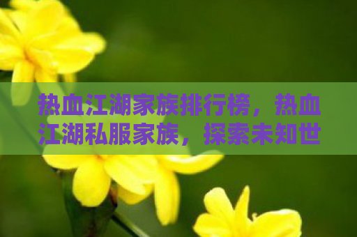 热血江湖家族排行榜，热血江湖私服家族，探索未知世界的冒险之旅