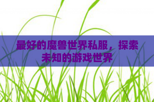 最好的魔兽世界私服，探索未知的游戏世界