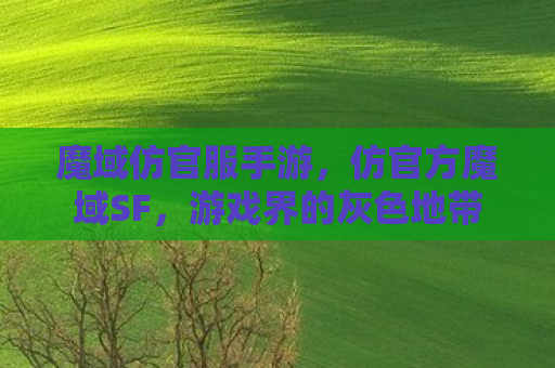 魔域仿官服手游，仿官方魔域SF，游戏界的灰色地带