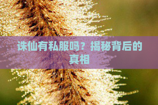 诛仙有私服吗？揭秘背后的真相